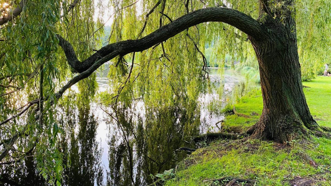 Gemuetliche Wohnung Bad Schwartau Zewnętrze zdjęcie